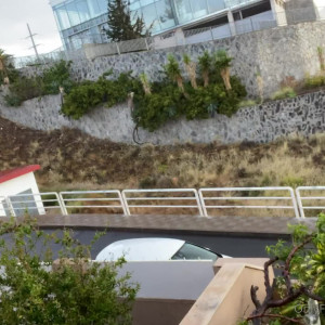 Video by emilyamateur published on January 12,2024 08:04:55 - BestThots