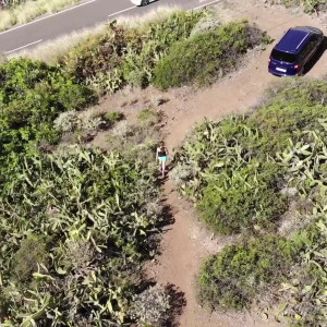 Video by emilyamateur published on January 12,2024 08:08:12 - BestThots