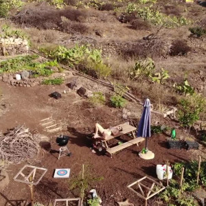 Video by emilyamateur published on January 12,2024 08:08:55 - BestThots