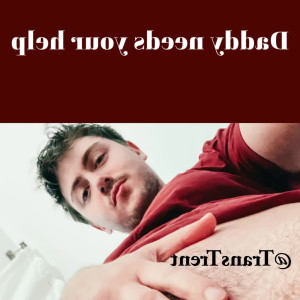 transtrentfree #4942405