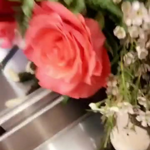 Video by nikkibenz published on August 27,2023 14:48:31 - BestThots