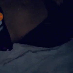 Video by emirafoods published on March 18,2023 20:03:00 - BestThots