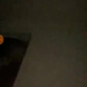 Video by emirafoods published on May 1,2023 08:46:00 - BestThots