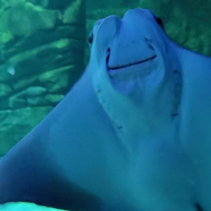 Video by megandaw published on August 27,2023 15:54:33 - BestThots