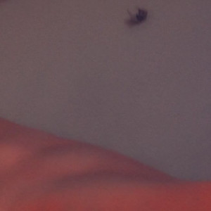 Video by lacy6778 published on April 17,2023 20:51:00 - BestThots