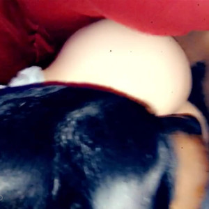 Video by lacy6778 published on March 20,2023 06:36:00 - BestThots