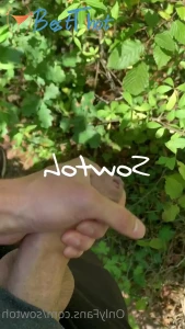 sowtoh #9712844