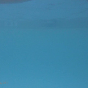 Video by bbjademoon published on July 10,2023 22:52:00 - BestThots