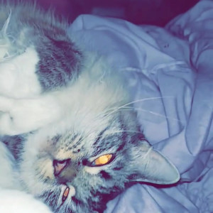 Video by alychu published on March 25,2023 08:30:00 - BestThots