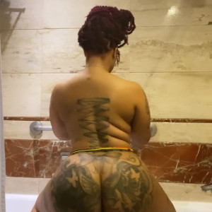 sunflowerland #4979390