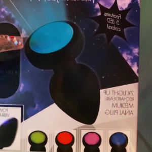 sunflowerland #5018834