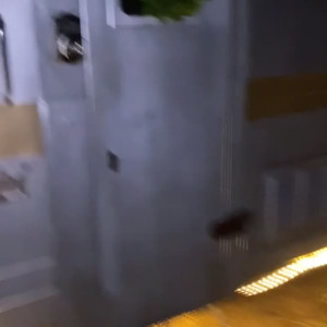 Video by omgzada published on April 2,2023 04:53:00 - BestThots