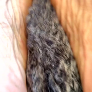 Video by itslotuslain published on March 29,2023 01:08:00 - BestThots