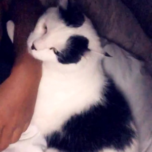 Video by ninas420life published on June 9,2023 22:08:00 - BestThots