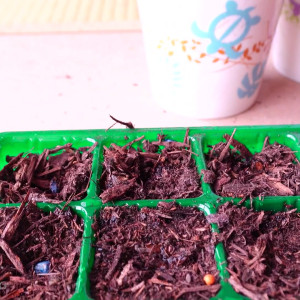 Video by milaloves published on April 18,2023 00:39:00 - BestThots