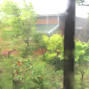 Video by milaloves published on March 26,2023 06:34:00 - BestThots