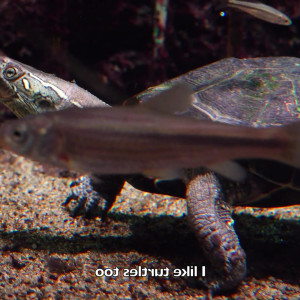 Video by milaloves published on March 11,2023 13:26:00 - BestThots