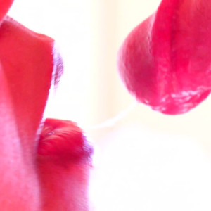 Video by milaloves published on March 4,2023 01:10:00 - BestThots