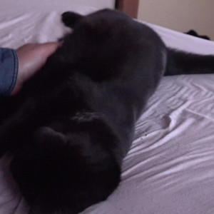 Video by milaloves published on June 6,2023 08:07:00 - BestThots