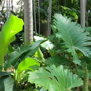 Video by milaloves published on March 4,2023 16:56:00 - BestThots