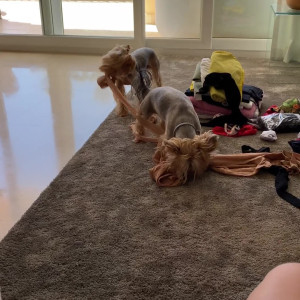 Video by suavemariaa published on July 2,2023 08:11:00 - BestThots