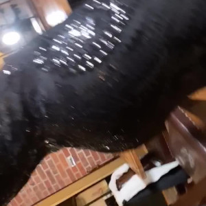 Video by wildcard666 published on May 19,2023 15:30:00 - BestThots