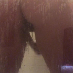 Video by officialzoerenea published on June 17,2023 17:23:00 - BestThots