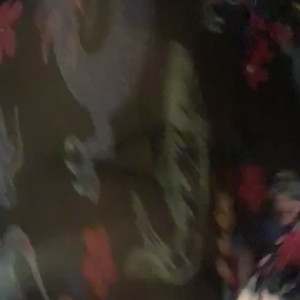 Video by slaviccaramel published on April 16,2023 15:10:00 - BestThots