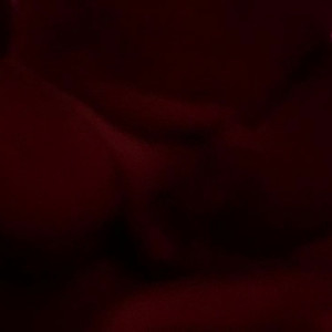 elyda #4703895
