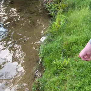 Video by meltymochi published on June 28,2023 21:15:00 - BestThots