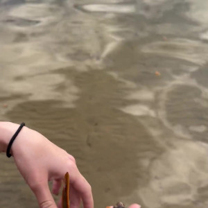 Video by meltymochi published on August 2,2023 09:46:00 - BestThots