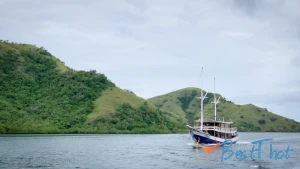 katyaclover #9743231