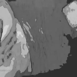 Video by deliciousdmvbaddie published on March 5,2023 05:17:00 - BestThots