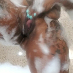Video by deliciousdmvbaddie published on March 15,2023 01:52:00 - BestThots