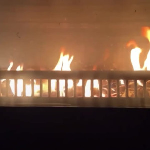 Video by estefaa published on July 19,2023 02:07:00 - BestThots