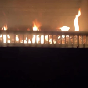 Video by estefaa published on August 13,2023 14:39:00 - BestThots