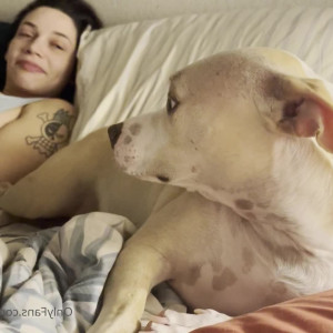 Video by brooklynspringvalley published on March 2,2023 06:53:00 - BestThots