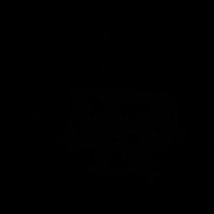 Video by brooklynspringvalley published on August 25,2023 04:04:00 - BestThots