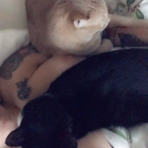 Video by lauralux published on July 12,2023 22:01:00 - BestThots