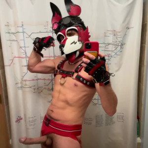 wolf_ezo #4525475