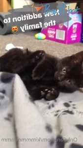 Video by kimmmmmmm published on January 22,2025 18:00:48 - BestThots