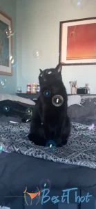 Video by kimmmmmmm published on January 22,2025 18:00:57 - BestThots