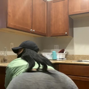 Video by meetsuzymarie published on April 29,2023 20:35:00 - BestThots