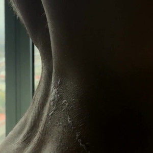 ladyjakubowsky #4302174