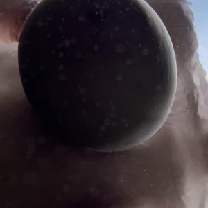 Video by ellaknox published on August 7,2023 04:13:00 - BestThots