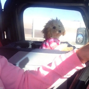 Video by aubreyblack published on November 23,2023 09:44:41 - BestThots