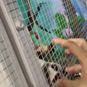 Video by bwc2022 published on March 14,2023 13:01:00 - BestThots