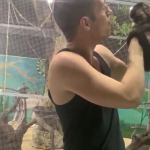 Video by bwc2022 published on April 7,2023 01:23:00 - BestThots