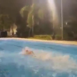 Video by bwc2022 published on March 25,2023 03:16:00 - BestThots