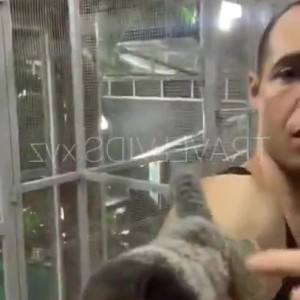 Video by bwc2022 published on March 17,2023 18:39:00 - BestThots